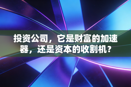 投资公司，它是财富的加速器，还是资本的收割机？