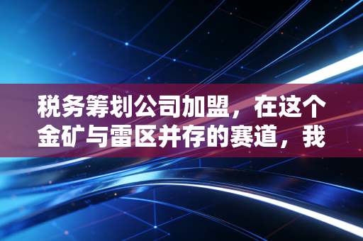 税务筹划公司加盟，在这个金矿与雷区并存的赛道，我有些掏心窝子的话想对你说