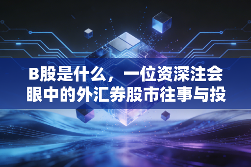 B股是什么，一位资深注会眼中的外汇券股市往事与投资冷思考