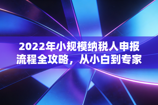 2022年小规模纳税人申报流程全攻略，从小白到专家的实操指南