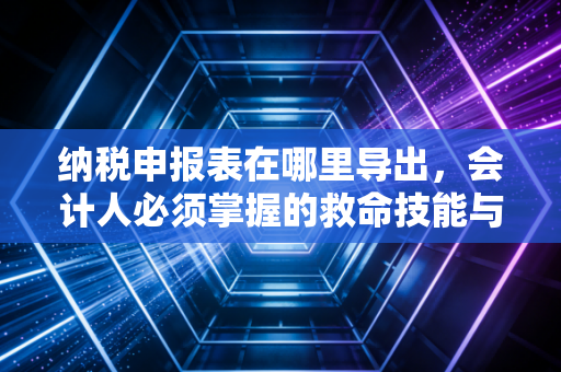 纳税申报表在哪里导出，会计人必须掌握的救命技能与数据管理哲学