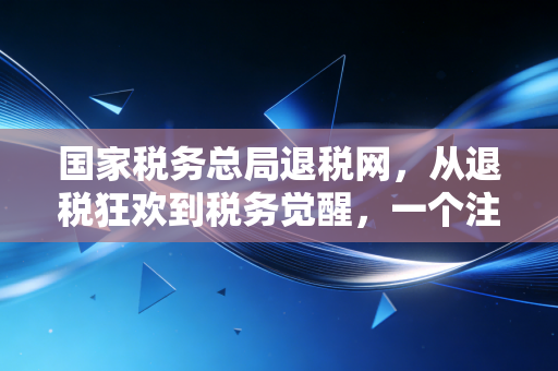 国家税务总局退税网，从退税狂欢到税务觉醒，一个注会眼中的个税江湖