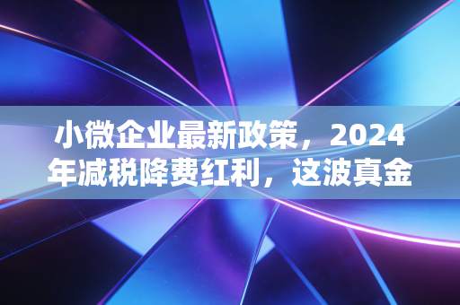 小微企业最新政策，2024年减税降费红利，这波真金白银你接住了吗？
