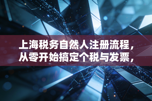 上海税务自然人注册流程，从零开始搞定个税与发票，别让繁琐手续耽误你的搞钱计划