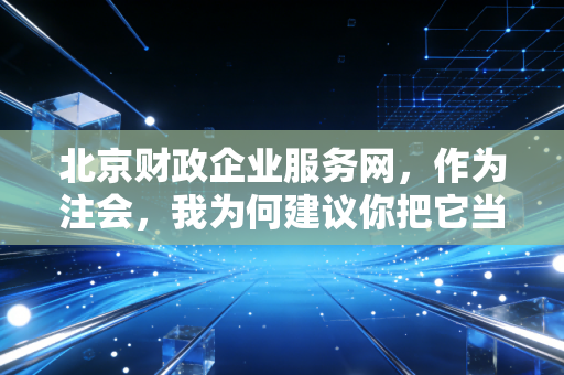 北京财政企业服务网，作为注会，我为何建议你把它当成企业的数字外脑？