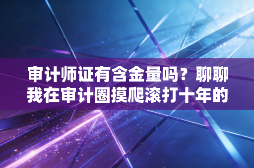 审计师证有含金量吗？聊聊我在审计圈摸爬滚打十年的真实看法