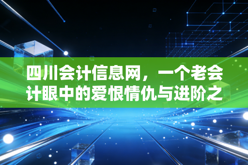 四川会计信息网，一个老会计眼中的爱恨情仇与进阶之路
