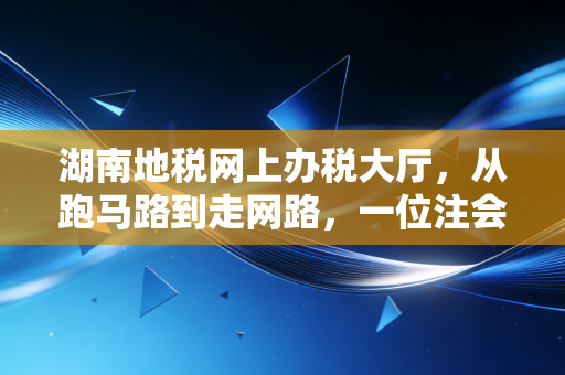 湖南地税网上办税大厅，从跑马路到走网路，一位注会眼中的税务数字化变迁