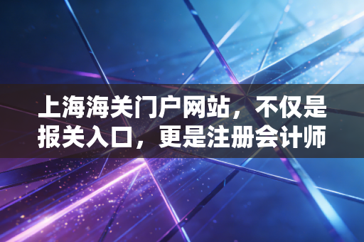 上海海关门户网站，不仅是报关入口，更是注册会计师眼中的企业合规藏宝图