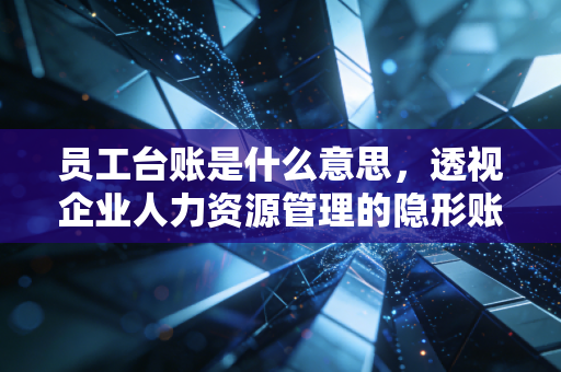 员工台账是什么意思,透视企业人力资源管理的隐形账本与审计风控核心