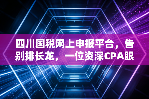 四川国税网上申报平台，告别排长龙，一位资深CPA眼中的数字化税务征途