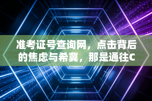 准考证号查询网，点击背后的焦虑与希冀，那是通往CPA战场的入场券