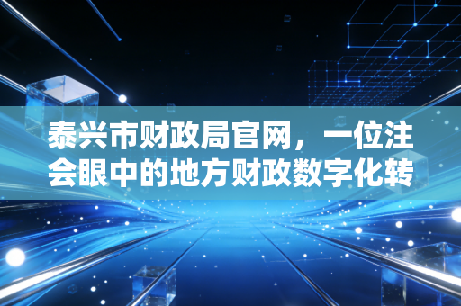 泰兴市财政局官网，一位注会眼中的地方财政数字化转型与民生服务新篇章