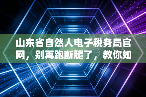 山东省自然人电子税务局官网，别再跑断腿了，教你如何像老会计一样轻松搞定个税