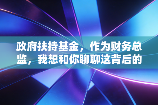 政府扶持基金，作为财务总监，我想和你聊聊这背后的钱与坑