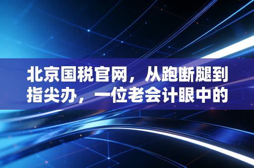 北京国税官网，从跑断腿到指尖办，一位老会计眼中的数字化征管变迁