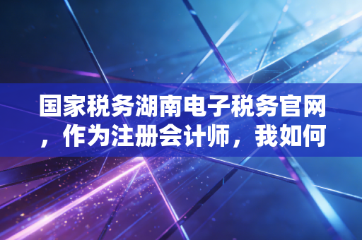 国家税务湖南电子税务官网，作为注册会计师，我如何利用这个平台帮企业抢回生命线？