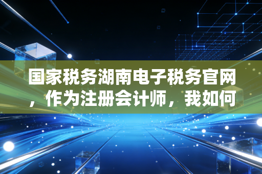 国家税务湖南电子税务官网，作为注册会计师，我如何利用这个平台帮企业抢回生命线？