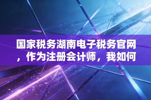 国家税务湖南电子税务官网，作为注册会计师，我如何利用这个平台帮企业抢回生命线？