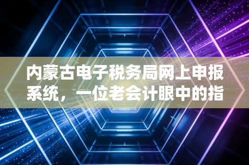 内蒙古电子税务局网上申报系统，一位老会计眼中的指尖革命与避坑指南