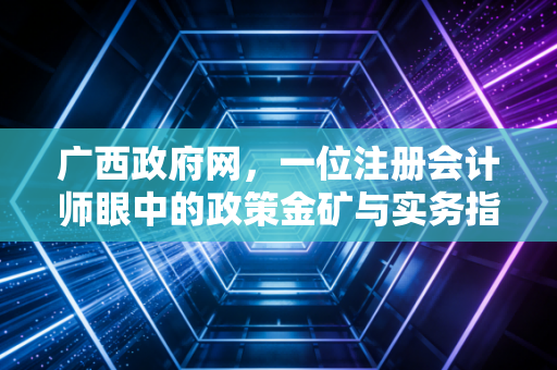 广西政府网,一位注册会计师眼中的政策金矿与实务指南
