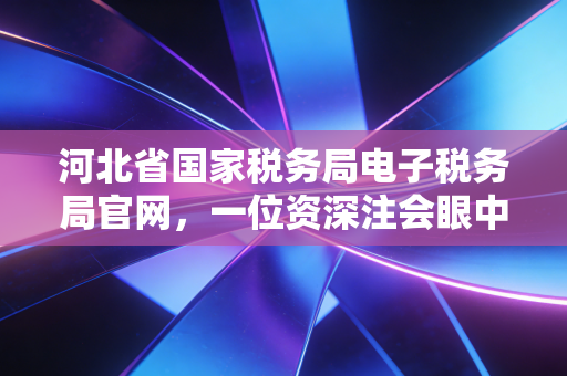 河北省国家税务局电子税务局官网，一位资深注会眼中的指尖办税进化论与实操避坑指南