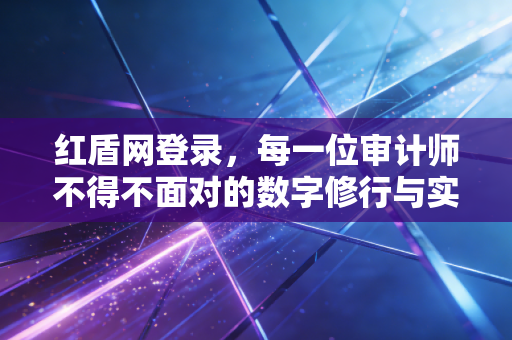 红盾网登录，每一位审计师不得不面对的数字修行与实务思考