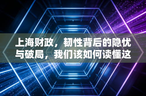 上海财政，韧性背后的隐忧与破局，我们该如何读懂这座城市的账本