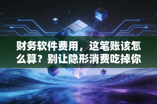 财务软件费用，这笔账该怎么算？别让隐形消费吃掉你的利润