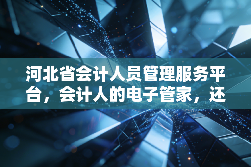 河北省会计人员管理服务平台,会计人的电子管家,还是令人头疼的负担?