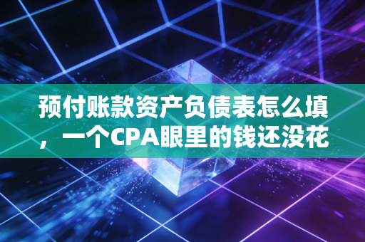 预付账款资产负债表怎么填,一个CPA眼里的钱还没花出去的艺术