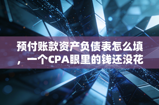 预付账款资产负债表怎么填,一个CPA眼里的钱还没花出去的艺术
