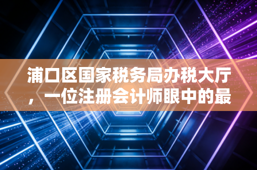 浦口区国家税务局办税大厅，一位注册会计师眼中的最后一公里与第一道门