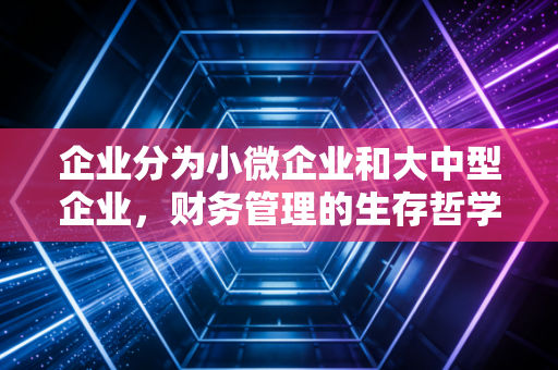 企业分为小微企业和大中型企业，财务管理的生存哲学到底差在哪？