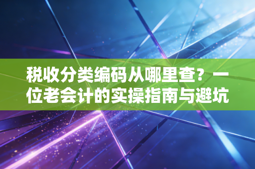 税收分类编码从哪里查？一位老会计的实操指南与避坑心得