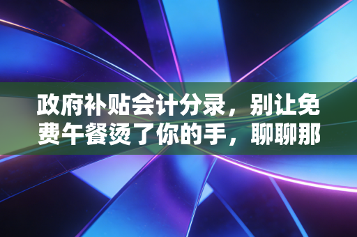 政府补贴会计分录，别让免费午餐烫了你的手，聊聊那些年我们踩过的坑