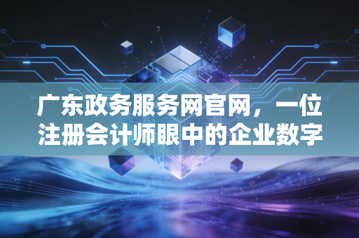 广东政务服务网官网，一位注册会计师眼中的企业数字化生存与合规便利化之路
