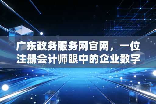 广东政务服务网官网，一位注册会计师眼中的企业数字化生存与合规便利化之路