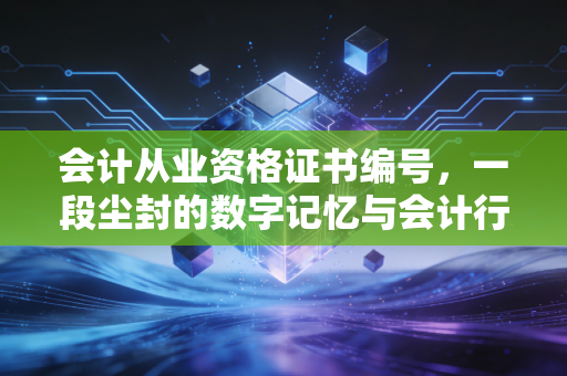 会计从业资格证书编号,一段尘封的数字记忆与会计行业的时代变迁