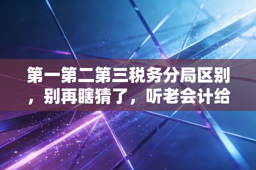 第一第二第三税务分局区别，别再瞎猜了，听老会计给你唠唠实操里的那些坑