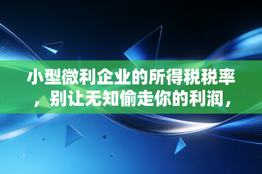 小型微利企业的所得税税率，别让无知偷走你的利润，深度解析与实操建议