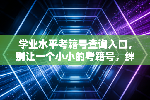 学业水平考籍号查询入口，别让一个小小的考籍号，绊倒你通往CPA巅峰的职业长跑
