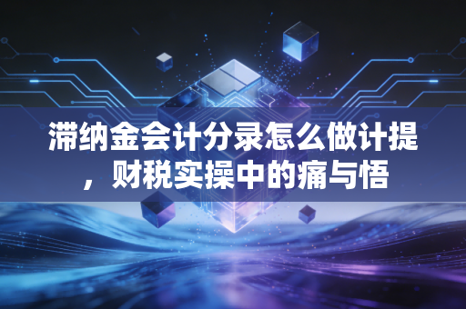 滞纳金会计分录怎么做计提，财税实操中的痛与悟