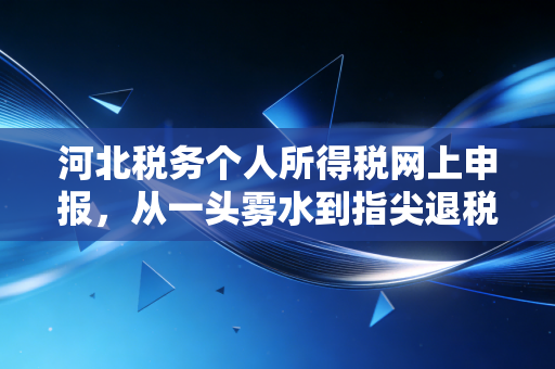 河北税务个人所得税网上申报，从一头雾水到指尖退税的实战指南