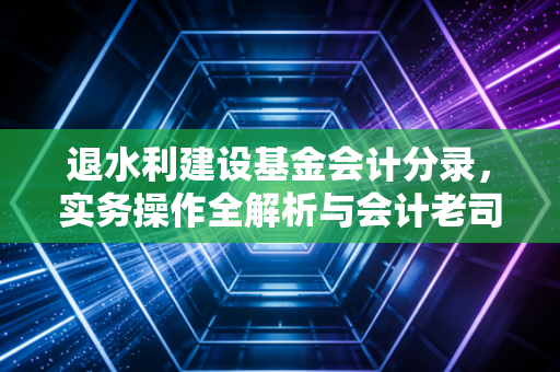 退水利建设基金会计分录，实务操作全解析与会计老司机的避坑指南