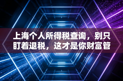 上海个人所得税查询,别只盯着退税,这才是你财富管理的第一步