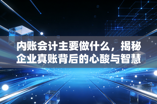 内账会计主要做什么,揭秘企业真账背后的心酸与智慧