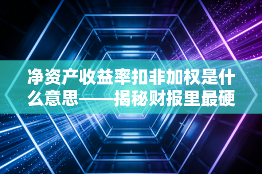 净资产收益率扣非加权是什么意思——揭秘财报里最硬核的赚钱能力