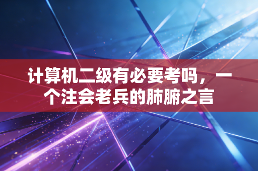 计算机二级有必要考吗，一个注会老兵的肺腑之言