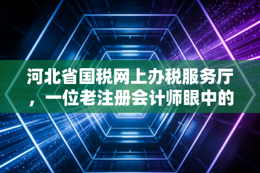 河北省国税网上办税服务厅，一位老注册会计师眼中的效率革命与实操避坑指南